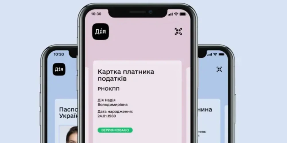 Інтерфейс системи «е-Консул» для оформлення податкового номера