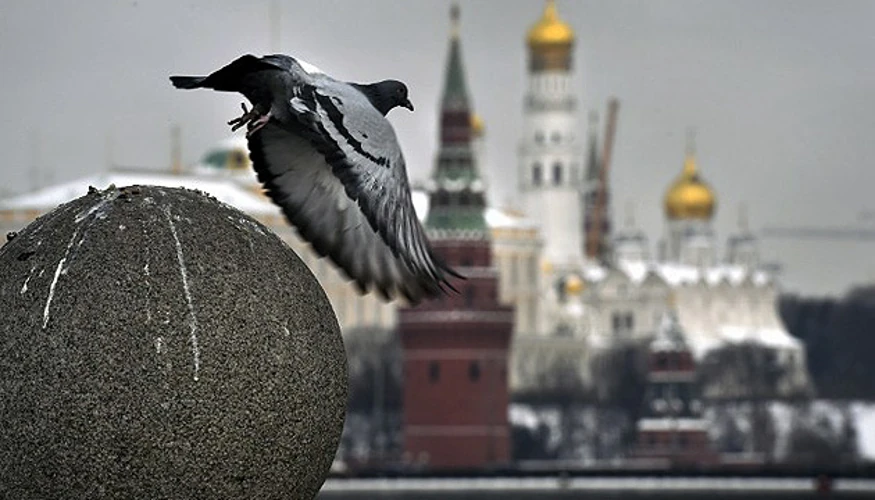 Пєсков 23 вересня: Москва не бачить передумов для мирного треку після Нью-Йорка